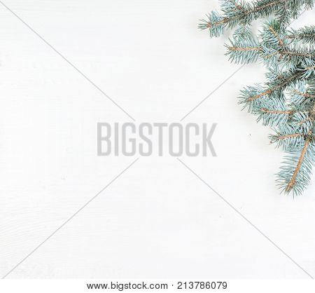 Fir tree branches on white. Card Merry Christmas and Happy New Year with copy space.
