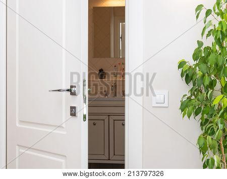 Ajar white door in a dark bathroom. Series switch on a light gray wall. Modern chrome door handle and lock. Green houseplant