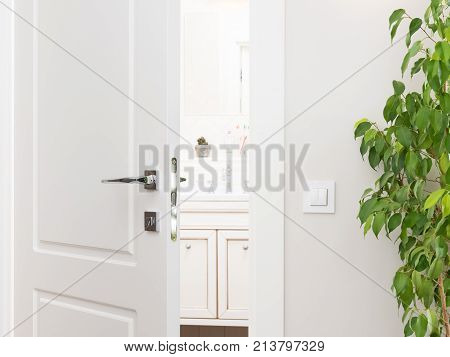 Ajar white door to the bathroom. Series switch on a light gray wall. Modern chrome door handle and lock. Green houseplant