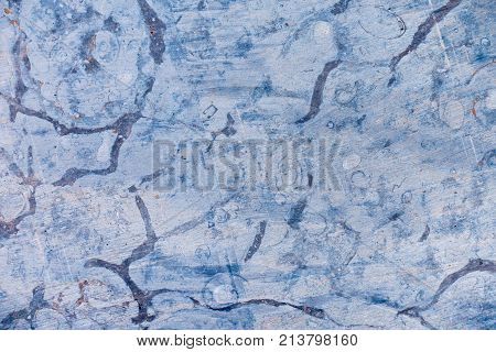 Fossils in unpolished blue stone as abstract background.