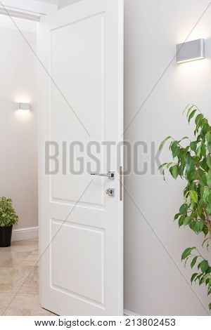 Modern wall lights. The bright apartments are decorated with potted plants. Open white door