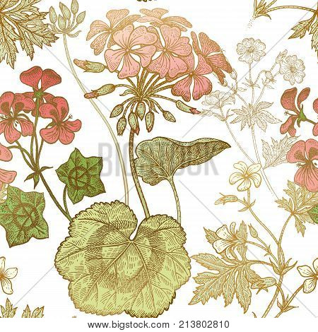 Seamless floral pattern. Green foliage pink geranium flower or pelargonium on a white background. Vintage vector illustration. Hand drawing. Template for packaging textiles paper wallpaper fabric