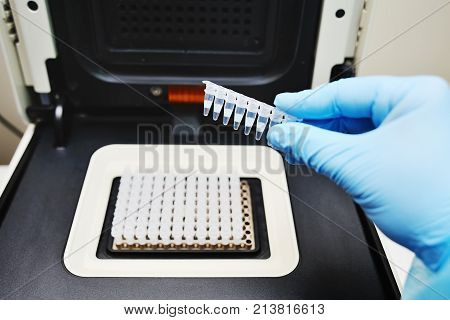 Thermocycler for DNA and PCR tests and analyzes against the backdrop of a medical laboratory. Scientist putting small tube to machine in laboratory