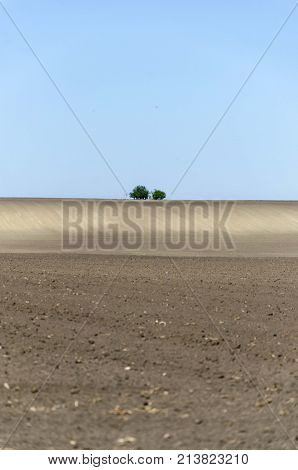 agriculture arable land field with sky clouds. agricultural landscape