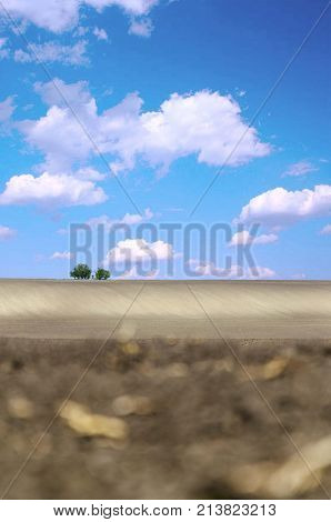 agriculture arable land field with sky clouds. agricultural landscape