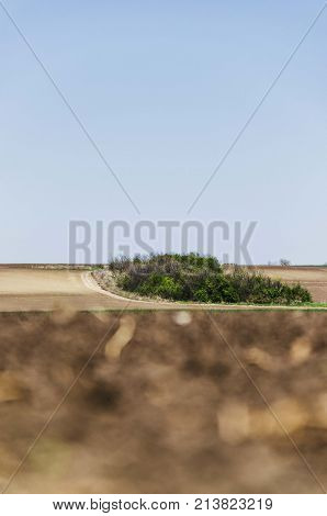 agriculture arable land field with sky clouds. agricultural landscape