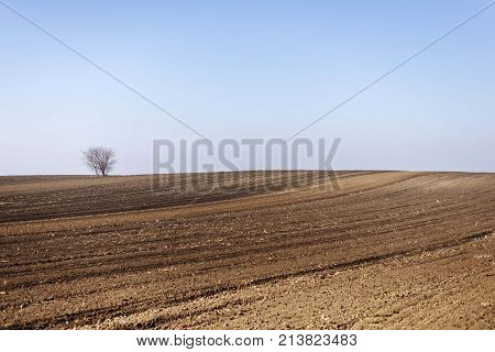 agriculture arable land field. natural outdoor agro landscape