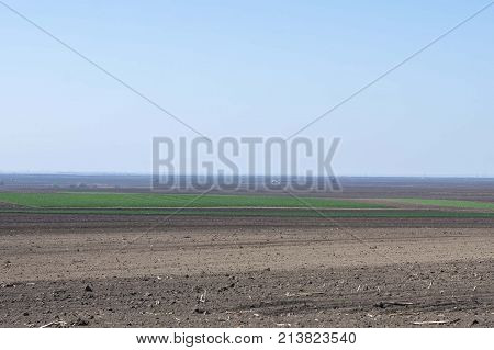 agriculture arable land field. natural outdoor agro landscape