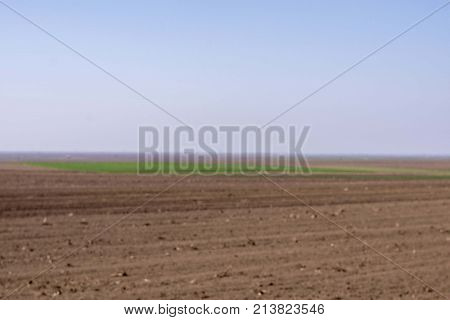 agriculture arable land field. natural outdoor agro landscape