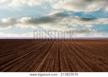 agriculture arable land field. natural outdoor agro landscape