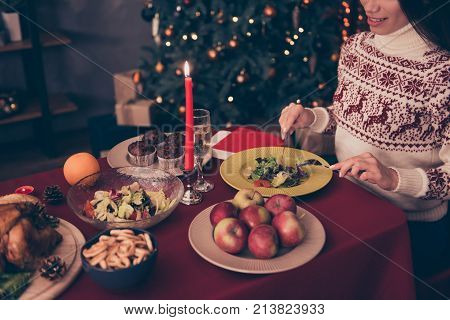 Christmas dinner table concept. Smiling woman in pulover with reindeer alone eating salad at home in the living room.