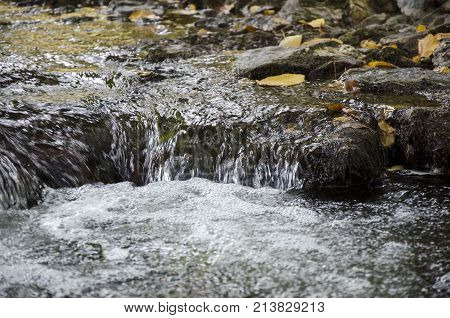 nature stream of water close up from low angle
