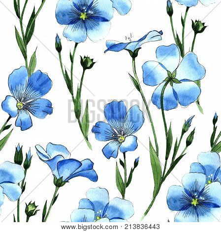 Wildflower flax  pattern in a watercolor style. Full name of the plant: flax . Aquarelle wild flower for background, texture, wrapper pattern, frame or border.