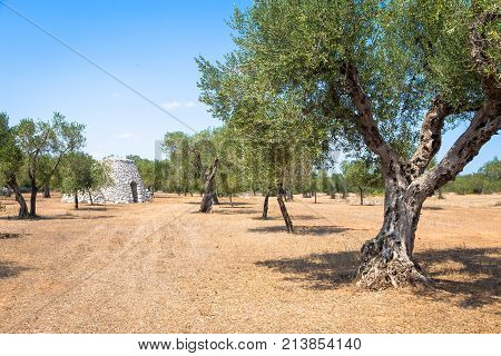 Puglia Region, Italy. Traditional Warehouse Made Of Stone