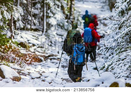 Mountain Hiking