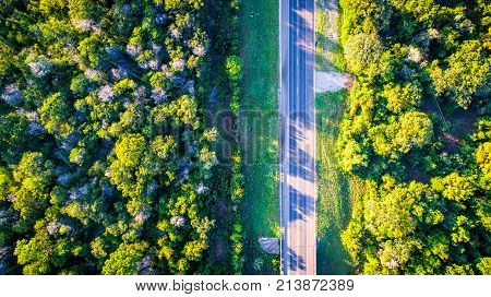 Aerial Drone View Straight Down Above Highway Cutting Through A Lush Green Forest