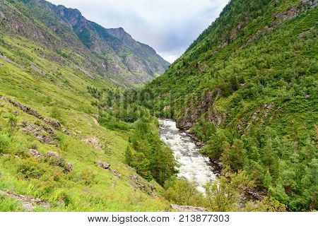 Valley Of Chulcha River. Altai Republic. Russia