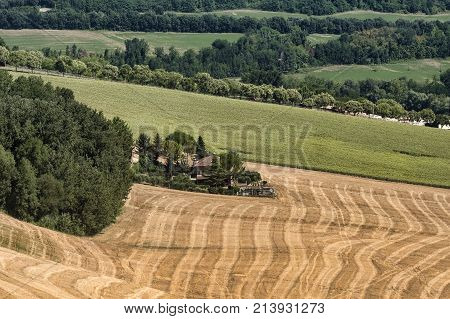 Summer Landscape Near Monterubbiano (fermo, Marches)