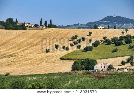 Rural Landscape Near Recanati (italy)