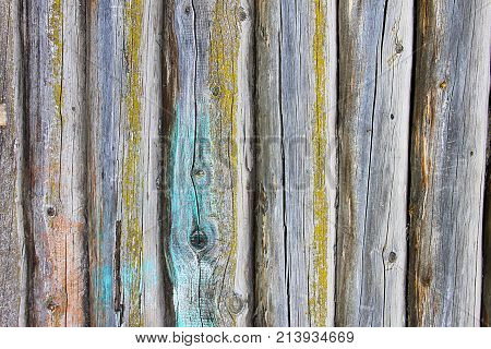 A stylish vintage background: a wooden house wall made of a beam of yellow moss covered with blue paint.