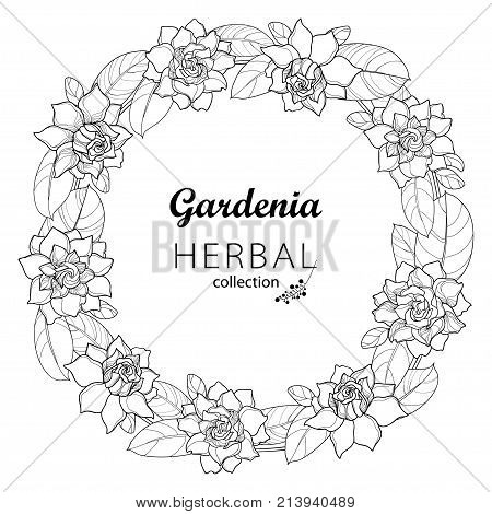 Vector outline Gardenia flower wreath with ornate foliage in black isolated on white background. Bunch with tropical fragrant plant Gardenia in contour style for summer design and coloring book.