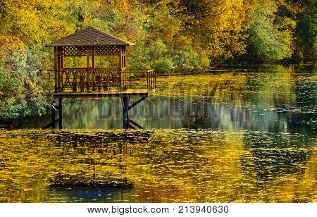 Gazebo in the park surrounded by fall foliage at autumn, Feofania