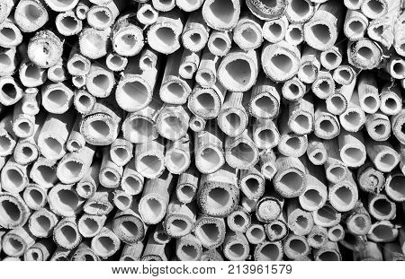 Cut Bamboo Sticks Background