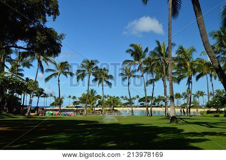 Beautiful views of Waikiki Beach with impressive palm trees. Oahu Hawaii USA EEUU.
