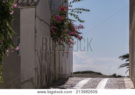 Detail Of Houses On The Island Of Tabarca