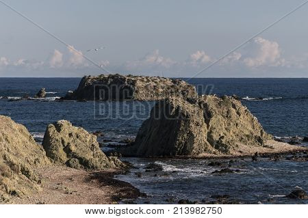 Coast Of The Island Of Tabarca, Santa Pola