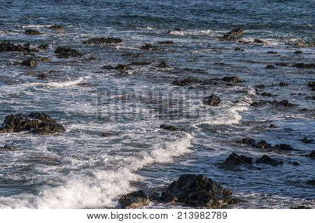 Coast Of The Island Of Tabarca, Santa Pola