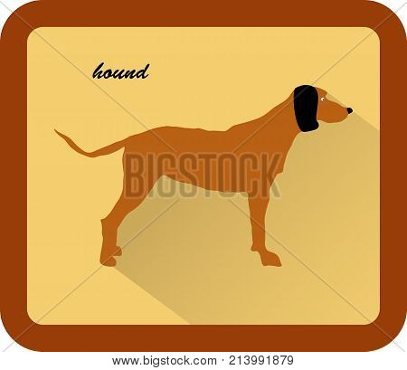 Dog hound icon in flat style with long shadow. Animals symbol