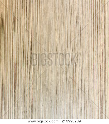 : Wood texture. Wood texture for design and decoration