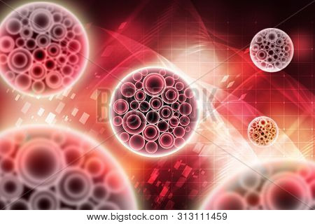 3d Rendered Blastocyst Isolated On A Color Background