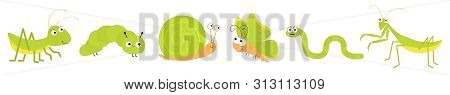 Green Insect Icon Set Line. Mantis Praying, Grasshopper, Butterfly, Caterpillar, Snail, Worm. Cute C
