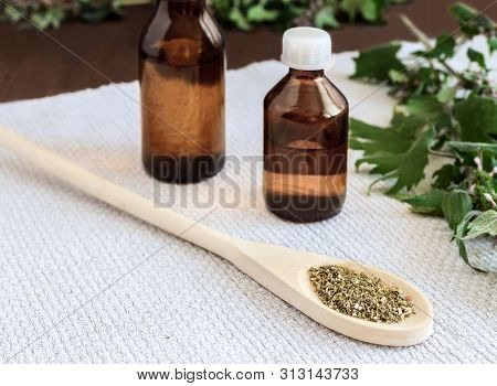 Motherwort - A Medicinal Plant With A Calming Effect