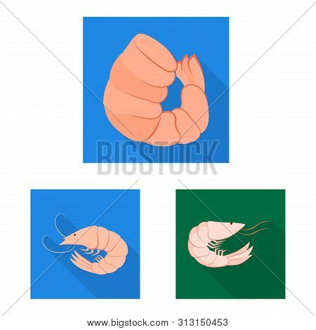 Vector Design Of Appetizer And Seafood Icon. Set Of Appetizer And Ocean Vector Icon For Stock.