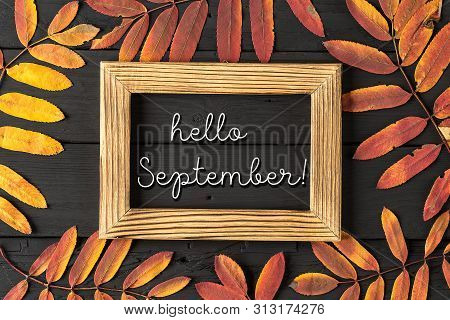 Hello September Lettering Card. Concept Of The Fall Season