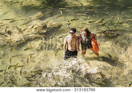 Couple Of Tourists On The Transparent Water Of A River Of Bonito Ms, Brazil Surrounded By A Shoal Of