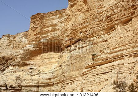 Ein Avdat Canyon, Izrael