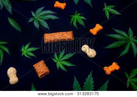 Dog treats and cannabis leaves isolated over black background - CBD and medical marijuana for pets concept