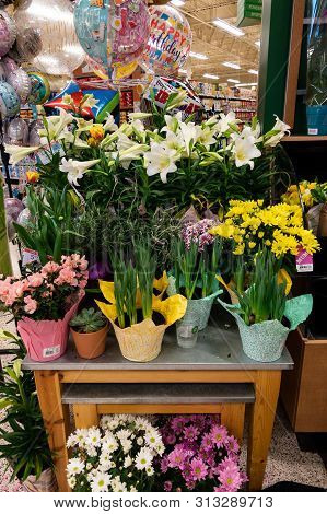 Orlando, Fl/usa - 04/24/19: Spring Flowers In Pots And Balloons For Sale At Publix Grocery Store In 
