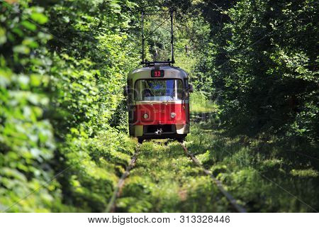 Kiev, Ukraine -  June 10, 2017: City Tram Is Running Through The Green Tunnel In The Big Dense Fores