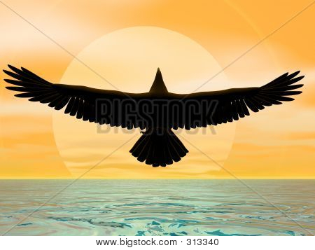 Sun Eagle