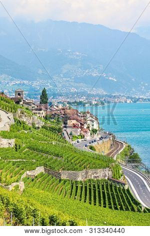 Vertical Photo Of Beautiful Winemaking Village St. Saphorin In Lavaux Wine Region, Switzerland. Swis