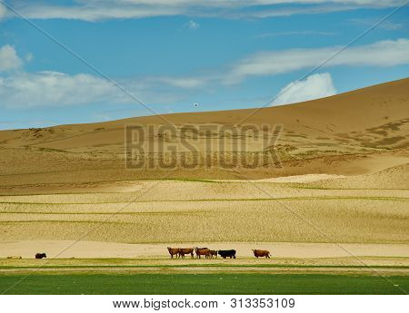 Sands Mongol Els