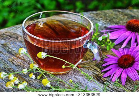 Tea With Echinacea Useful To Health.