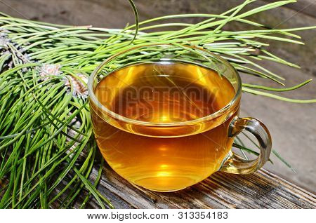 Tea With Echinacea Useful To Health.