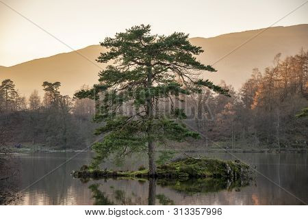Stunning Landscape Image Of Tarn Hows In Lake District During Beautiful Autumn Fall Evening Sunset W