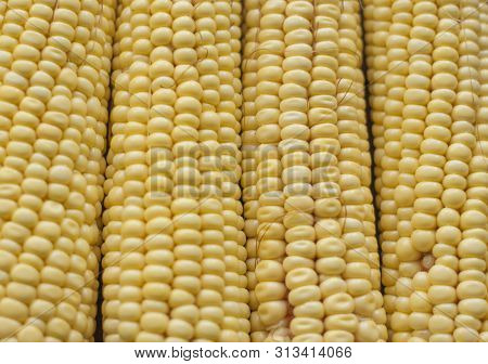 Fresh Corn On Cobs On Rustic Wooden Table, Closeup